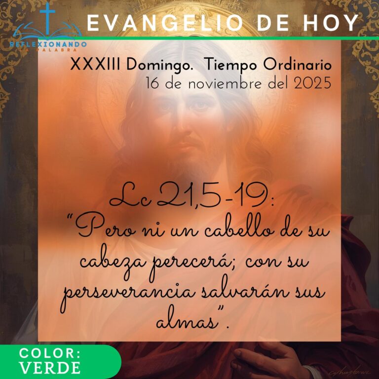 16 de noviembre del 2025 reflexionando la palabra