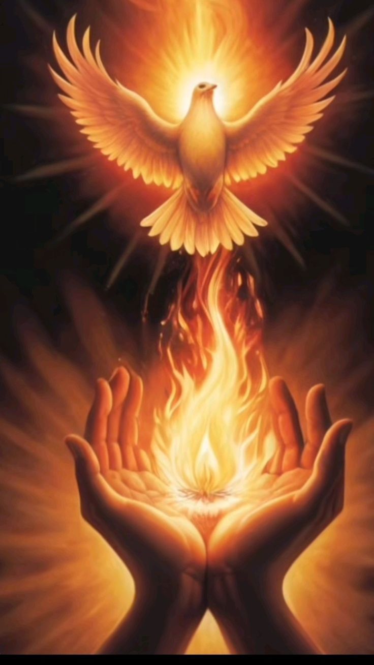 Espiritu Santo 2026